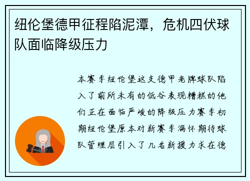 纽伦堡德甲征程陷泥潭，危机四伏球队面临降级压力