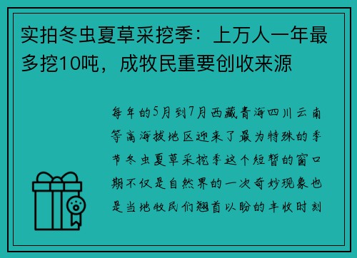 实拍冬虫夏草采挖季：上万人一年最多挖10吨，成牧民重要创收来源